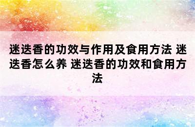 迷迭香的功效与作用及食用方法 迷迭香怎么养 迷迭香的功效和食用方法